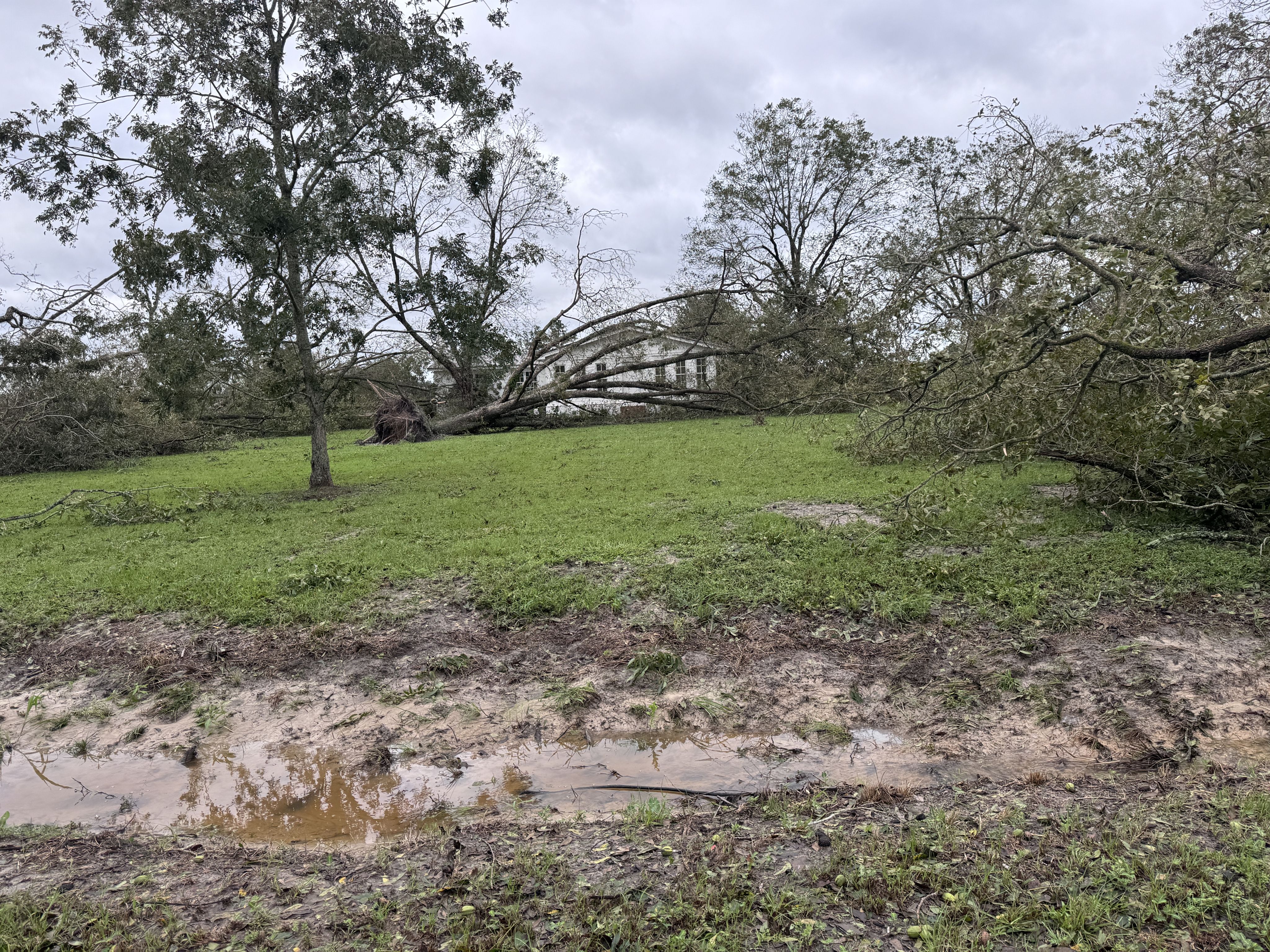 home with hurricane damage after helene